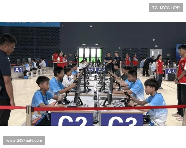 青少年赛事关注度持续升温 推动后备人才培养